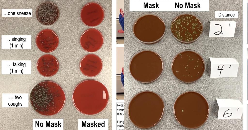 featured microbes