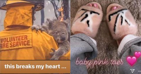 kylier jenner australia mink hypocrisy cover