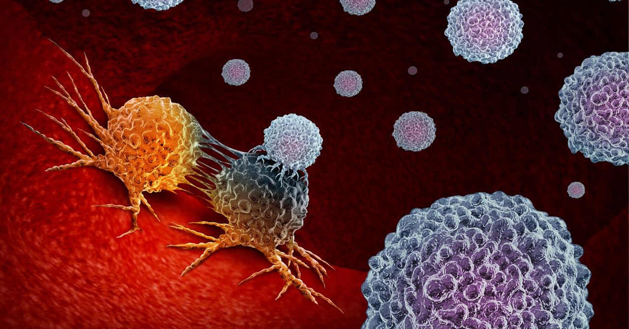 Newly Discovered Immune Cell 'may Treat All Cancer'