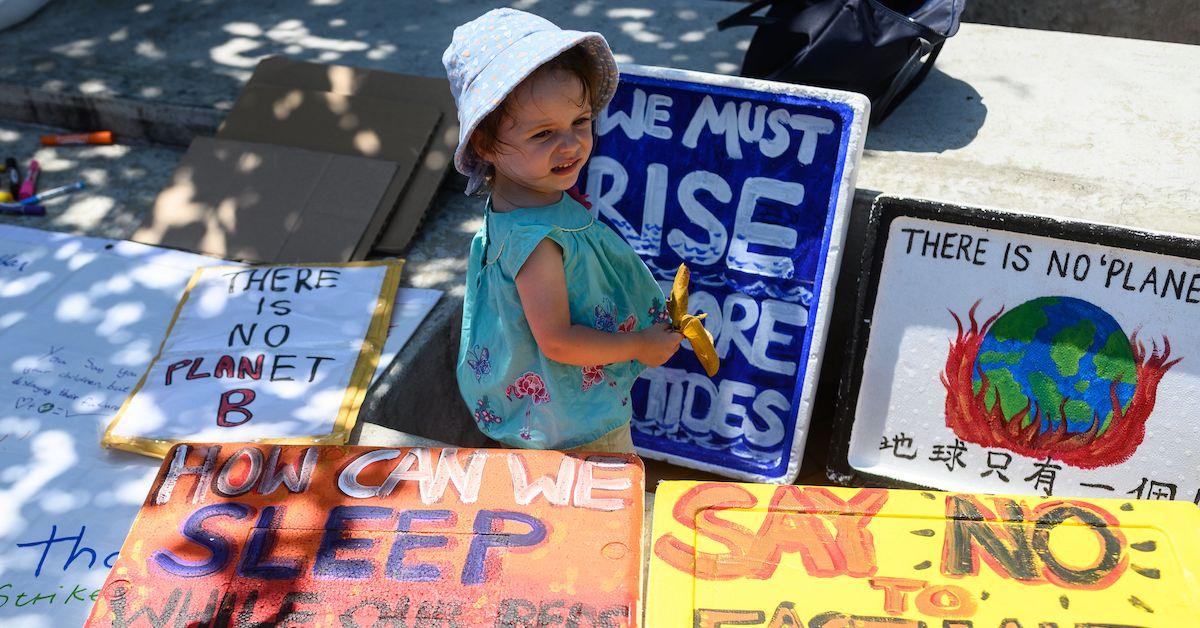 Group Of 11,000 Scientists Declare Climate Emergency Worldwide.