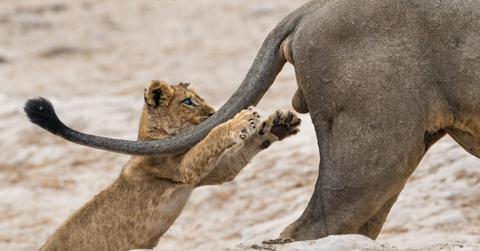 sarah skinner_grab life by the _