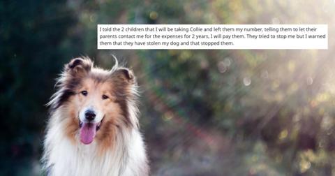 featured-lost-dog-1583950174819-1584103595070.jpg