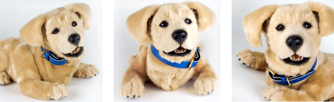 Robotic Dog Companion Pet for Alzheimer's and Caregivers – Memorable Pets