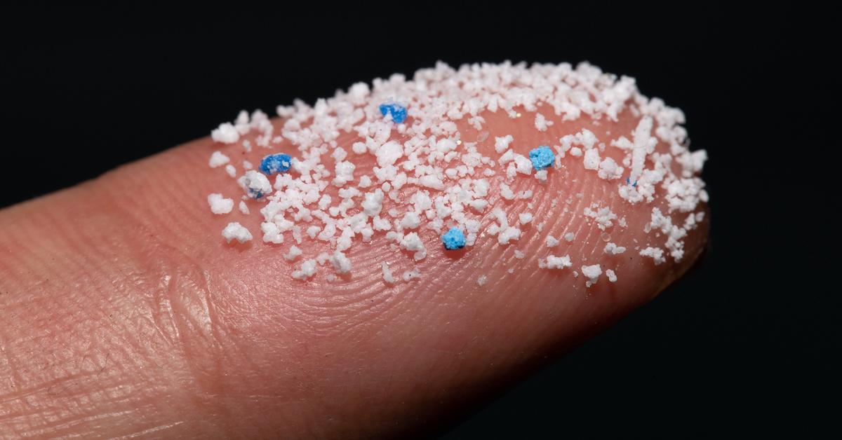 microplastics detected human organs