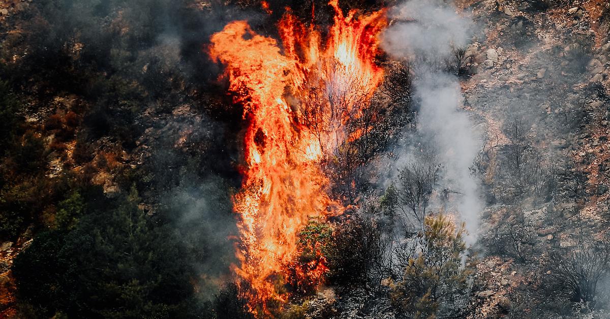 lebanon wildfire