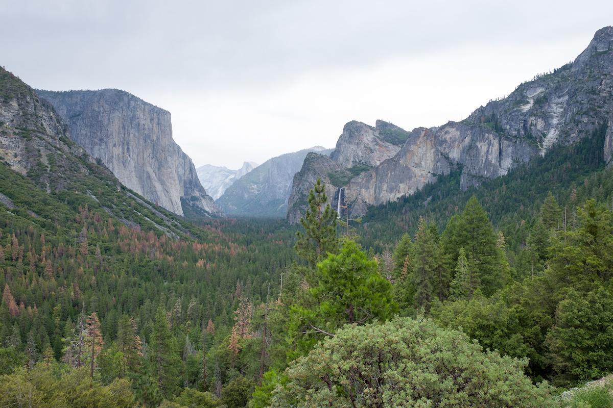 yosemite park