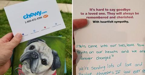 pet store act of kindness customer service cdcabf__