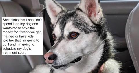 featured-dog-surgery-1587581074896-1587647848960.jpg
