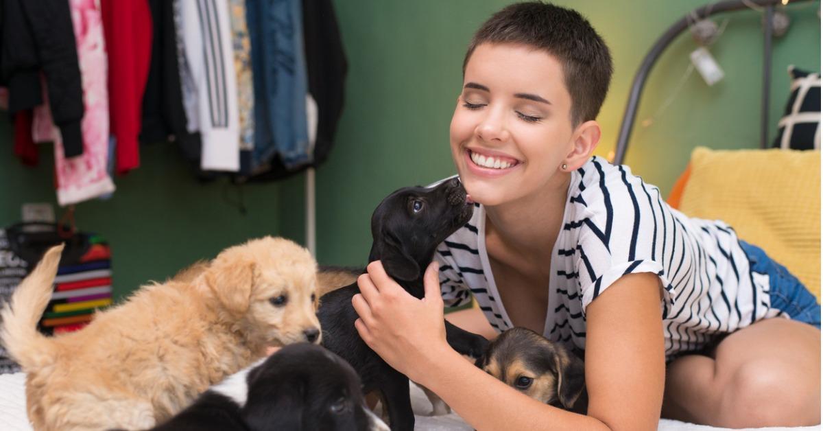 woman playing with puppies picture id