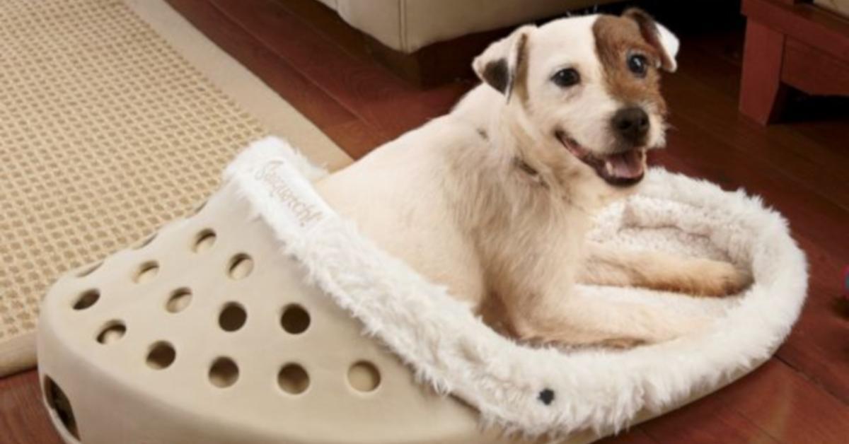 dog shoe bed cover