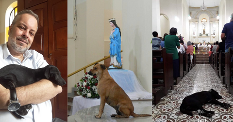 featured-priest-dogs-1571930638554.jpg