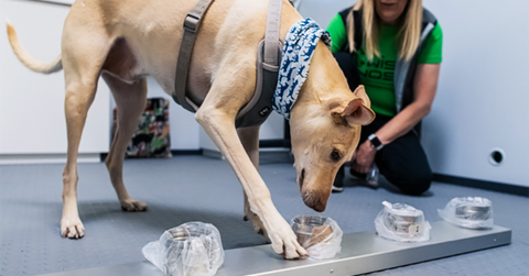 microsoftteams image