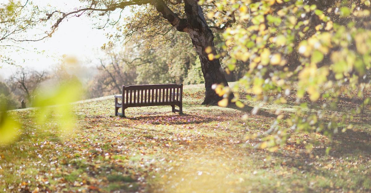 park happiness