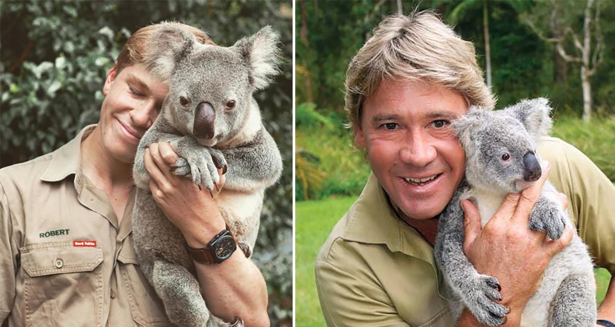 Steve Irwin's son looks just like his father as he cuddles a koala