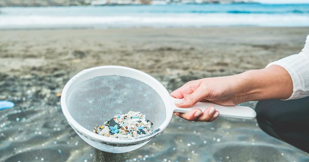 microplastics detected human organs