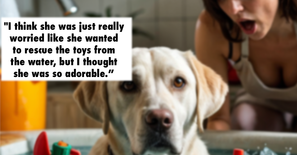 dog toy cleaner