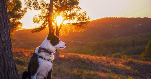 screen shot    at  am