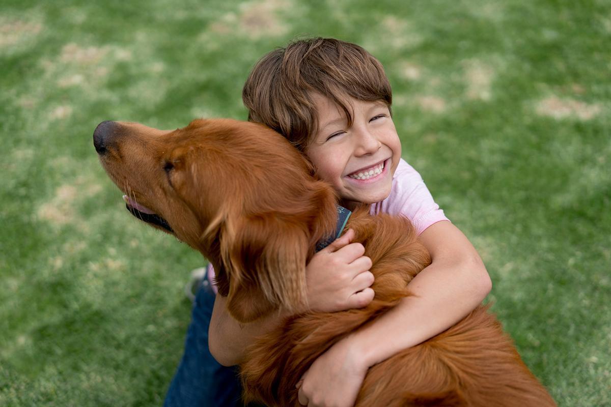 dog cuddling blood rates