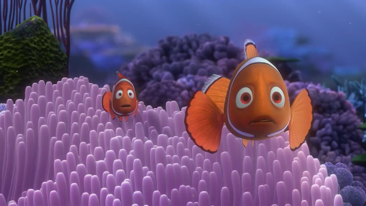 what really happened in finding nemo