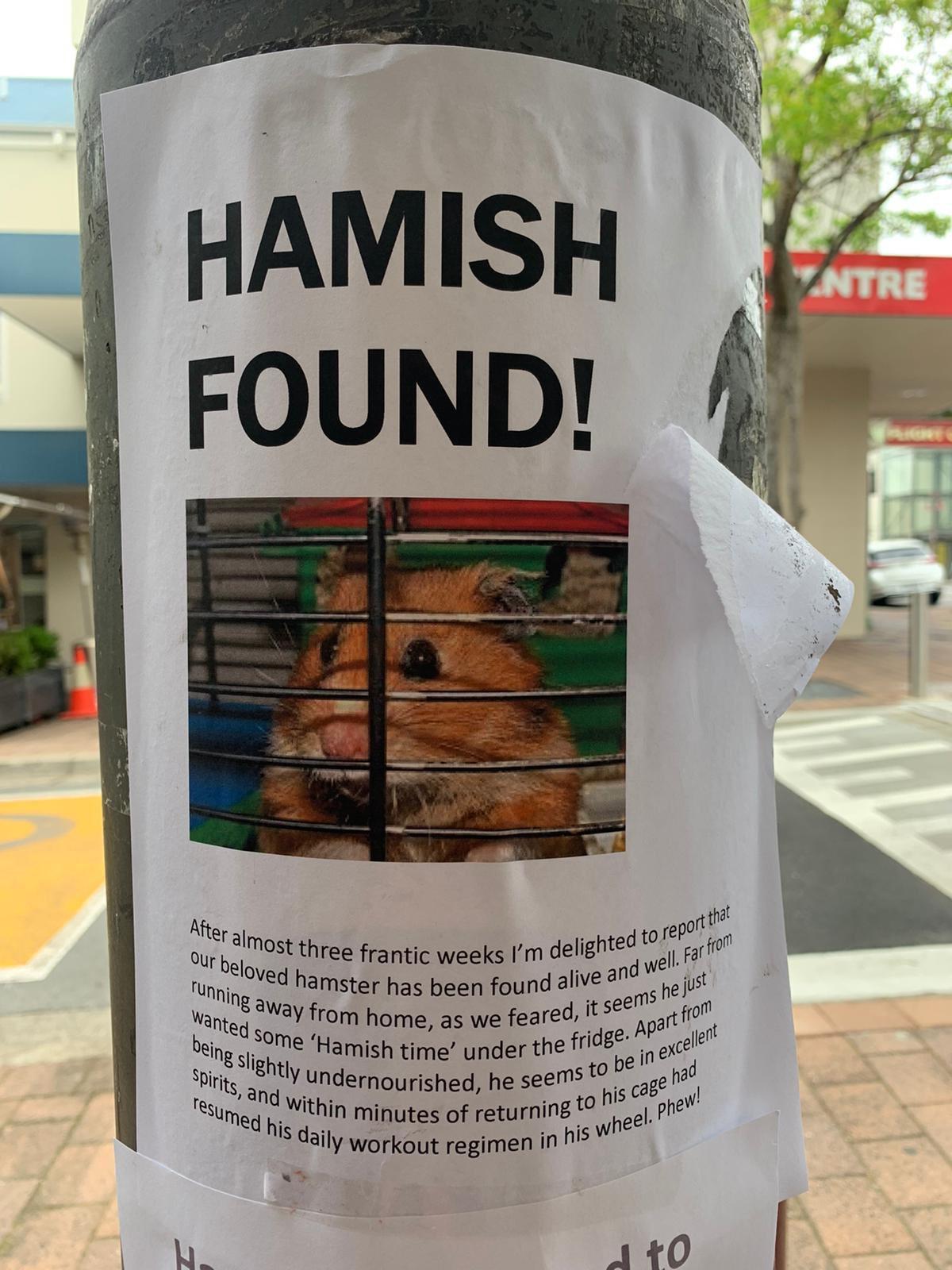 hamish hamster